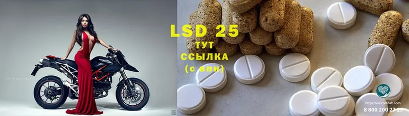 где найти   Канаш  LSD-25 экстази кислота 